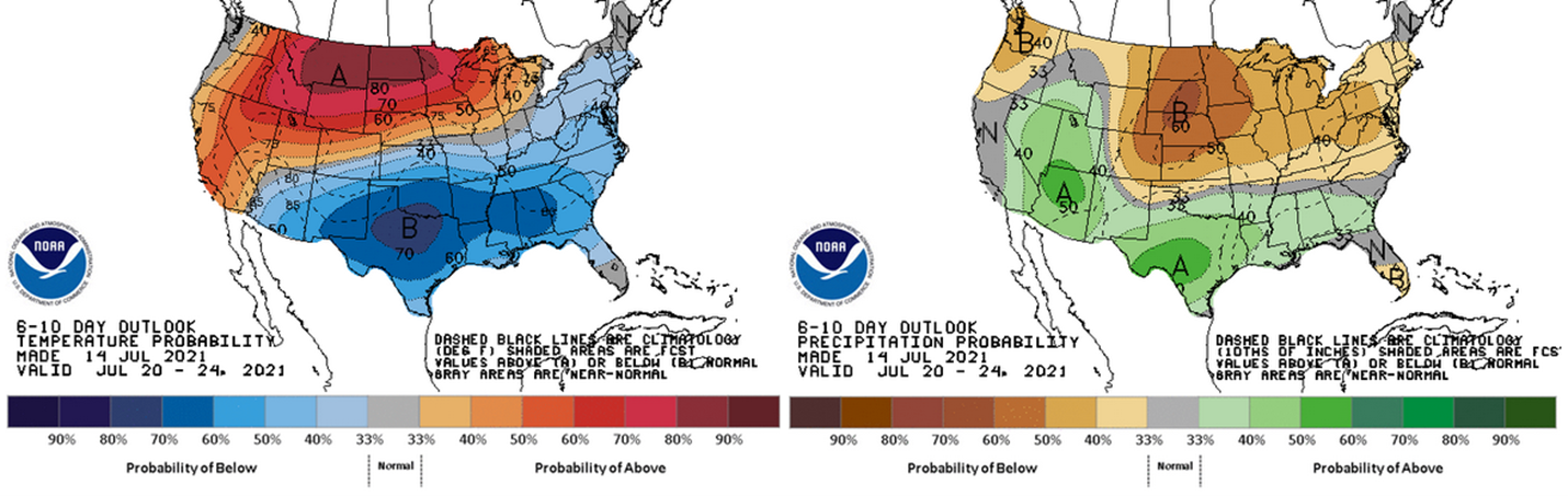 The 6-10 day outlook